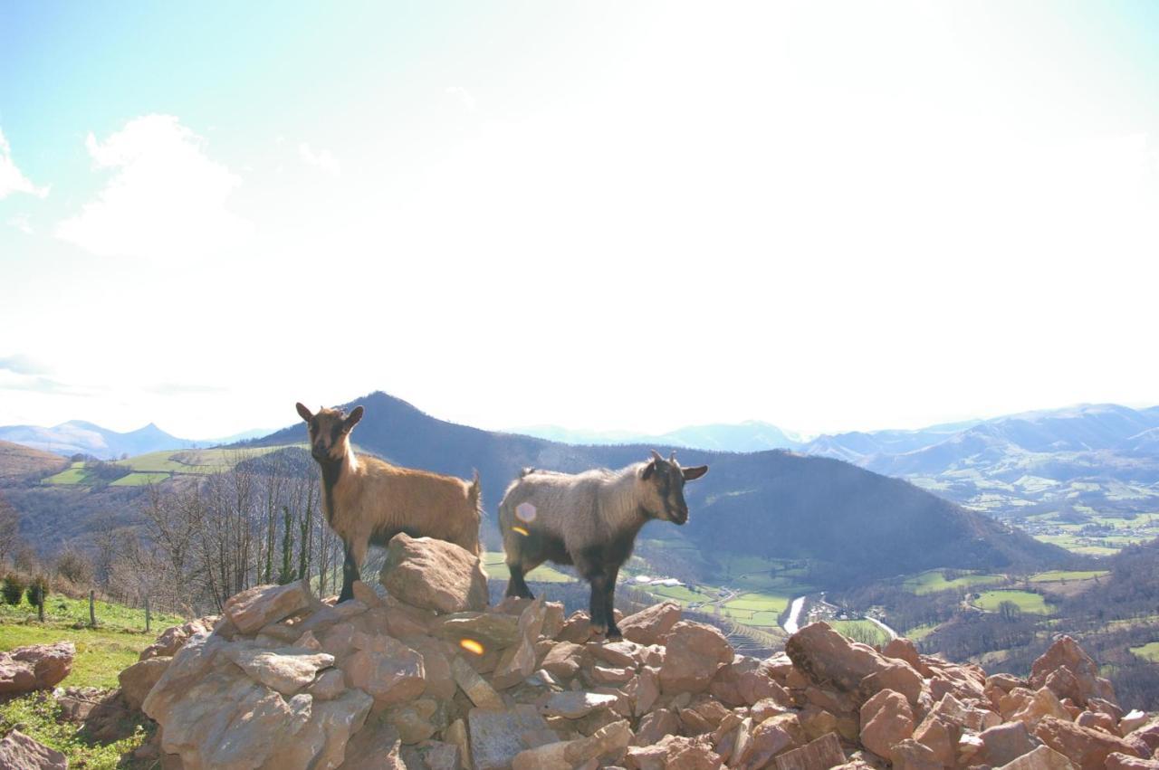 Hébergement de vacances Maison De Vue Exceptionnelle Sur Les Montagnes Basque