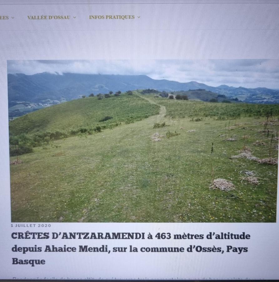 Maison De Vue Exceptionnelle Sur Les Montagnes Basque Ossès